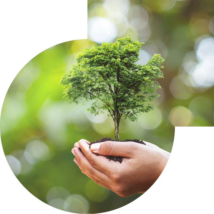 关怀人类、文化、环境与社会